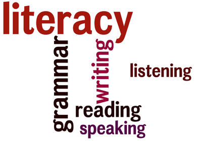 The Literacy Gap Photo
